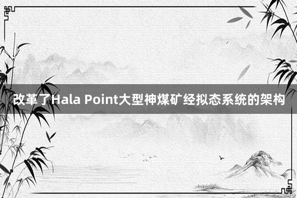 改革了Hala Point大型神煤矿经拟态系统的架构